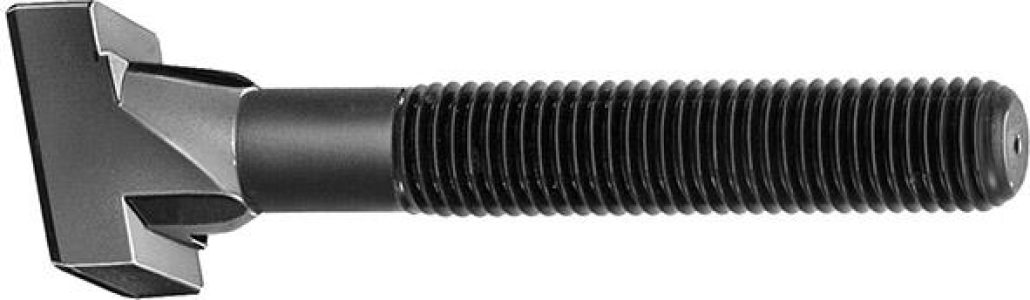 Kosoštvorcová skrutka M24x28x250 mm AMF